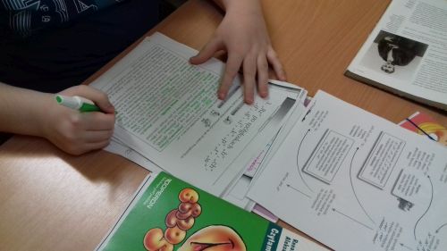 Innowacja  „Czytam, rozumiem, piszę poprawnie